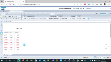 Immagine video 12 Web Intelligence