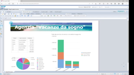 Immagine video 1 Web Intelligence