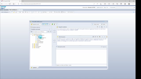 Immagine video 3 Web Intelligence