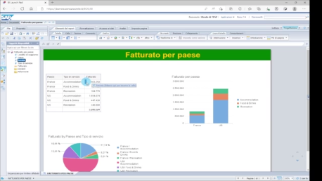 Immagine video 4 Web Intelligence